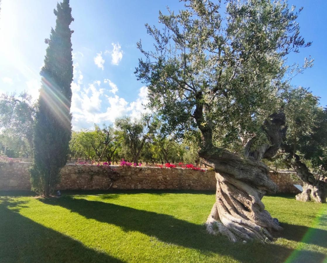 Hotel Torre Santamaria Resort マッティナータ エクステリア 写真