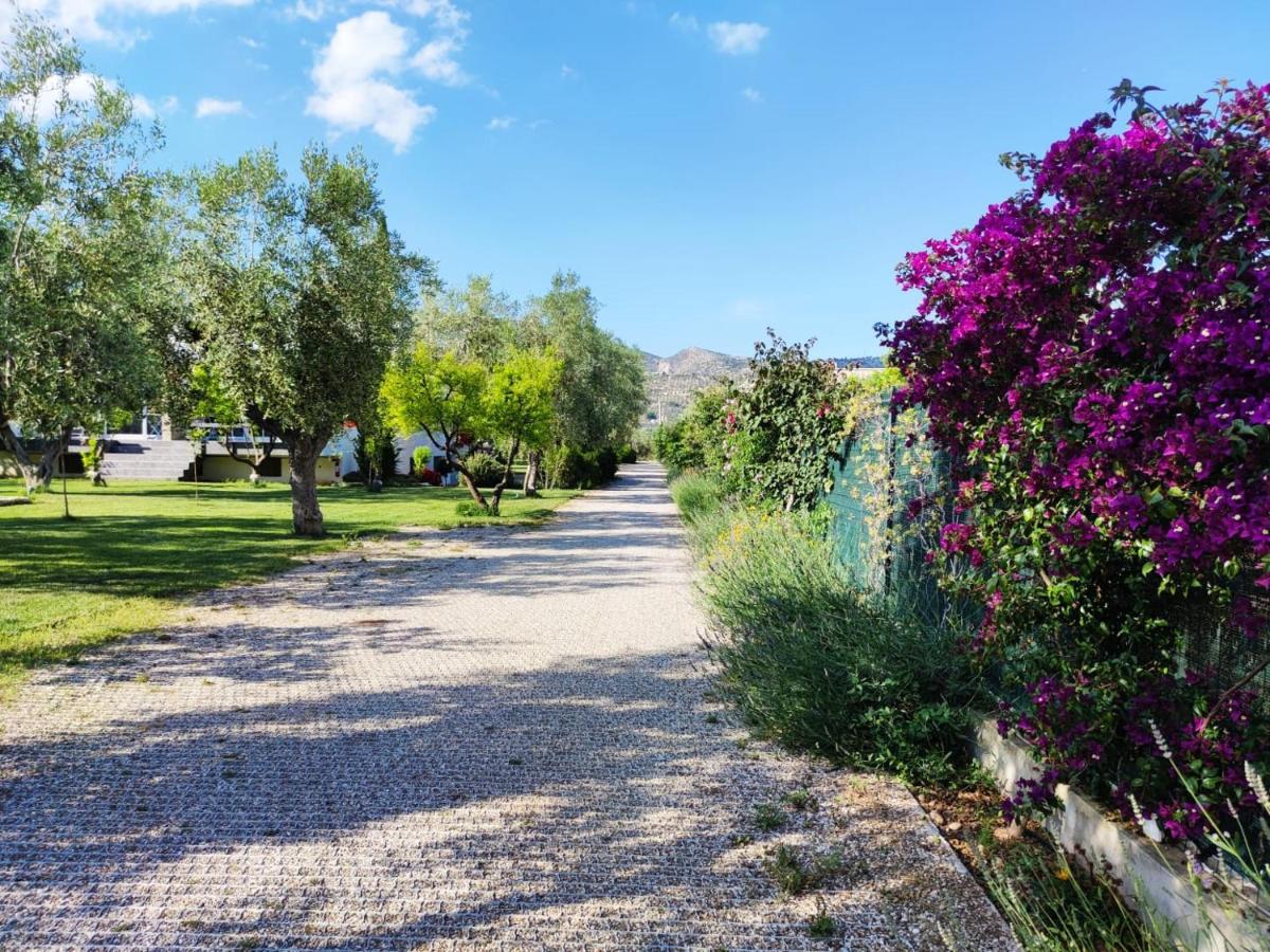Hotel Torre Santamaria Resort マッティナータ エクステリア 写真