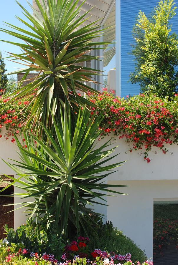Hotel Torre Santamaria Resort マッティナータ エクステリア 写真